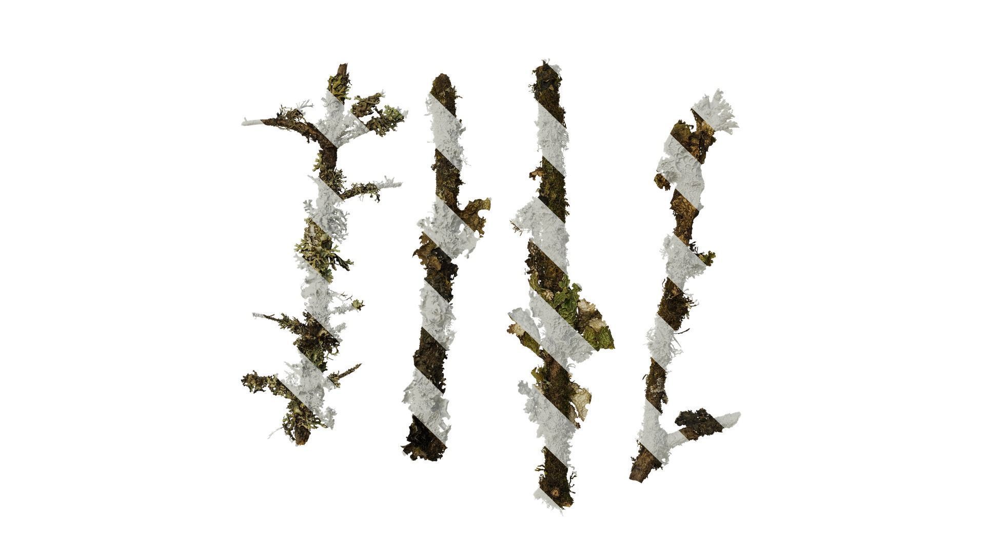 Anydrafts Bryophytes Atlas 78 Texture
