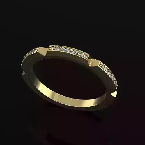 Ring Model 7003