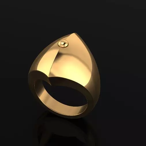 Ring Model 6993 3D print model_0