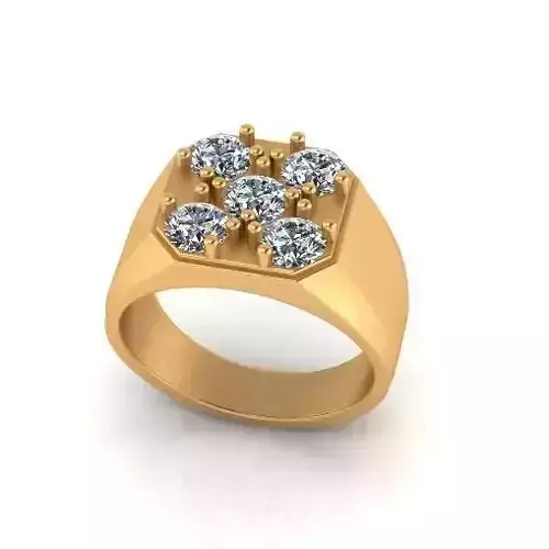 Ring Model 7040