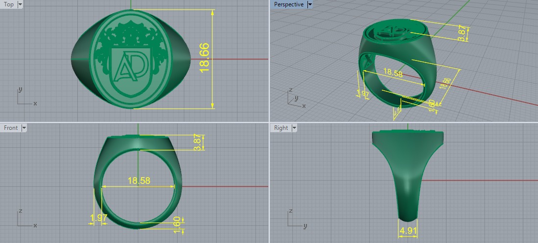 Ring AD Model 7033 3D print model_6