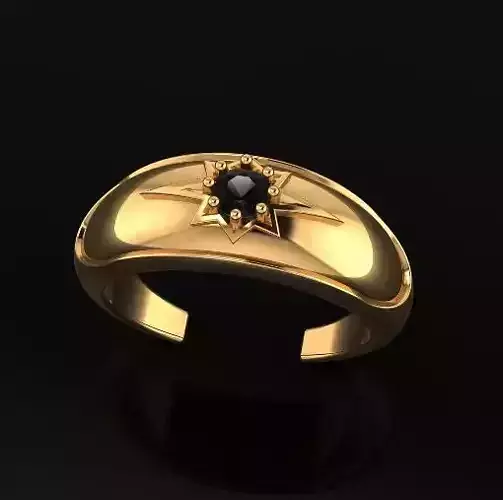 Ring Model 7021