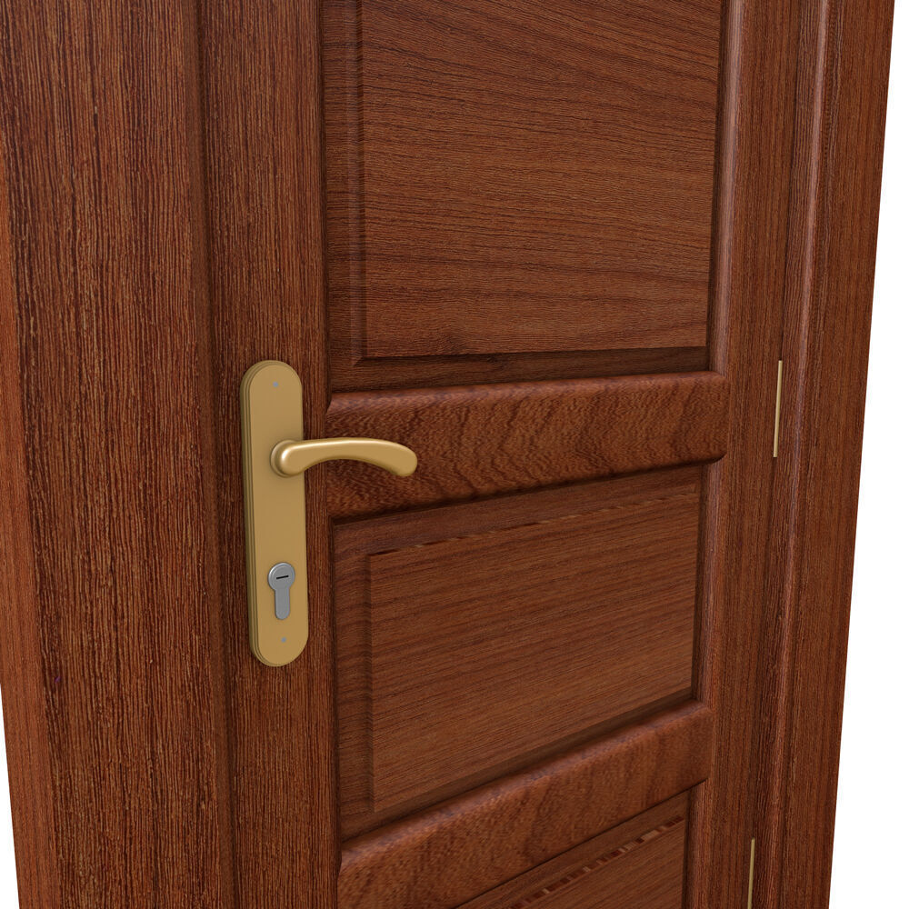 Mahogany Hard Wooden Door 3D model_8