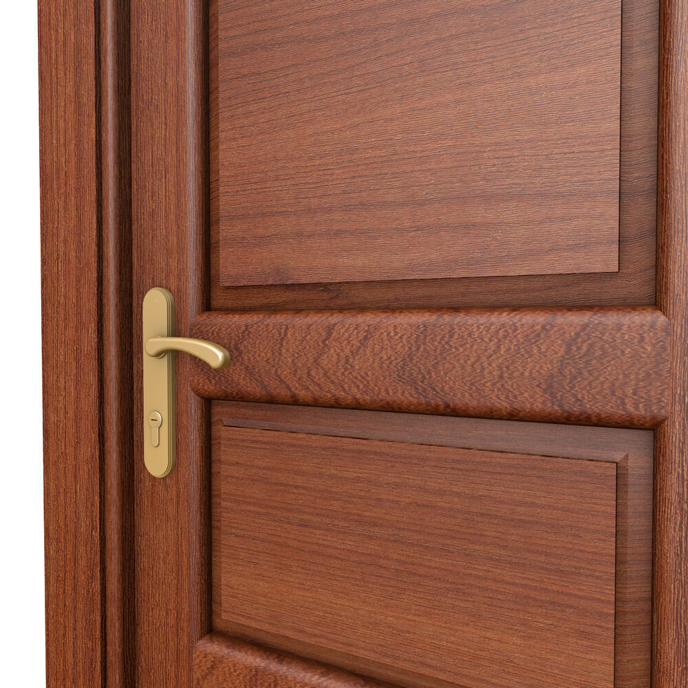 Mahogany Hard Wooden Door 3D model_2