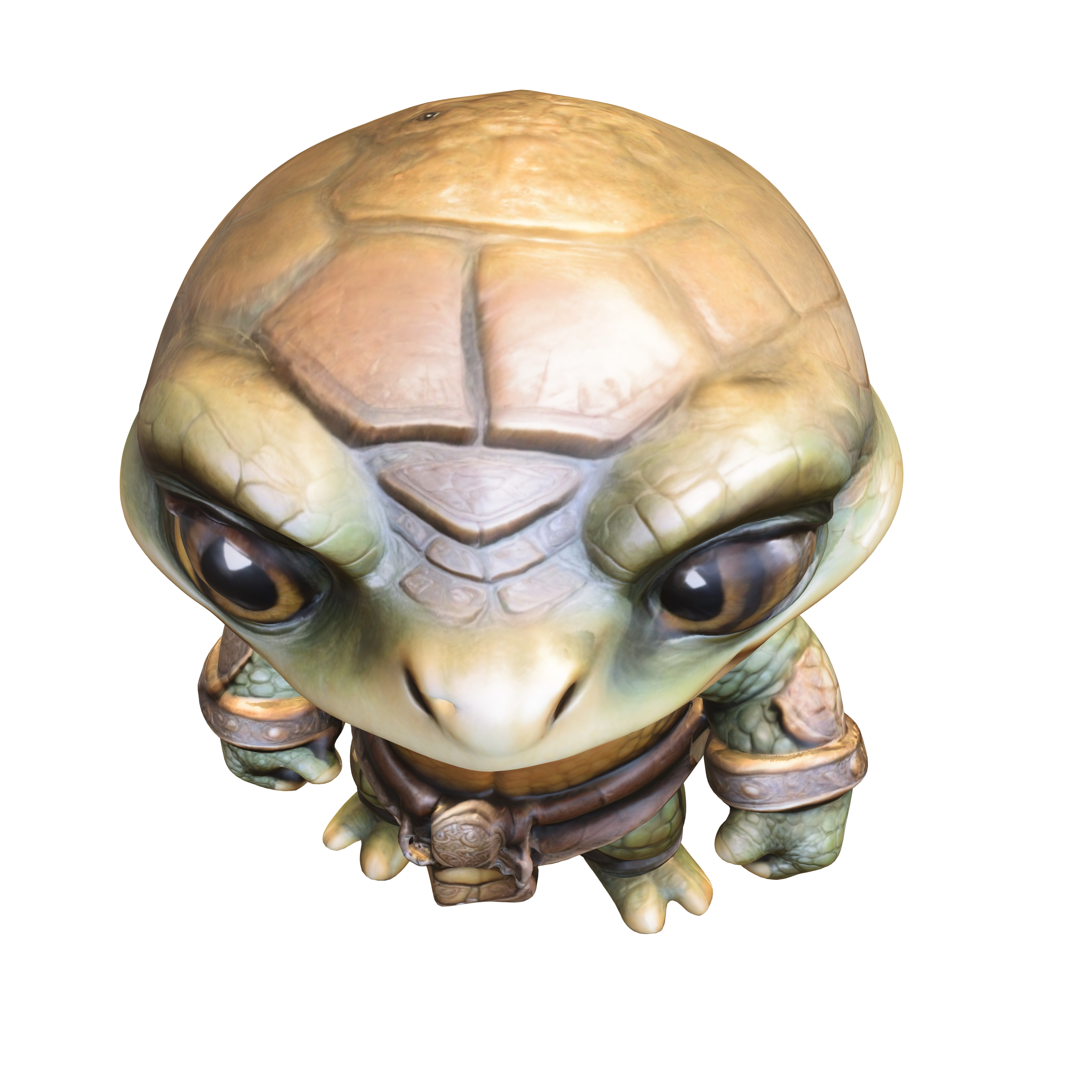 Chibi style turtle 3D model_3