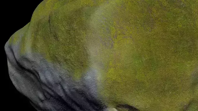 Natural Stone Is Actually Mossy Rock V2