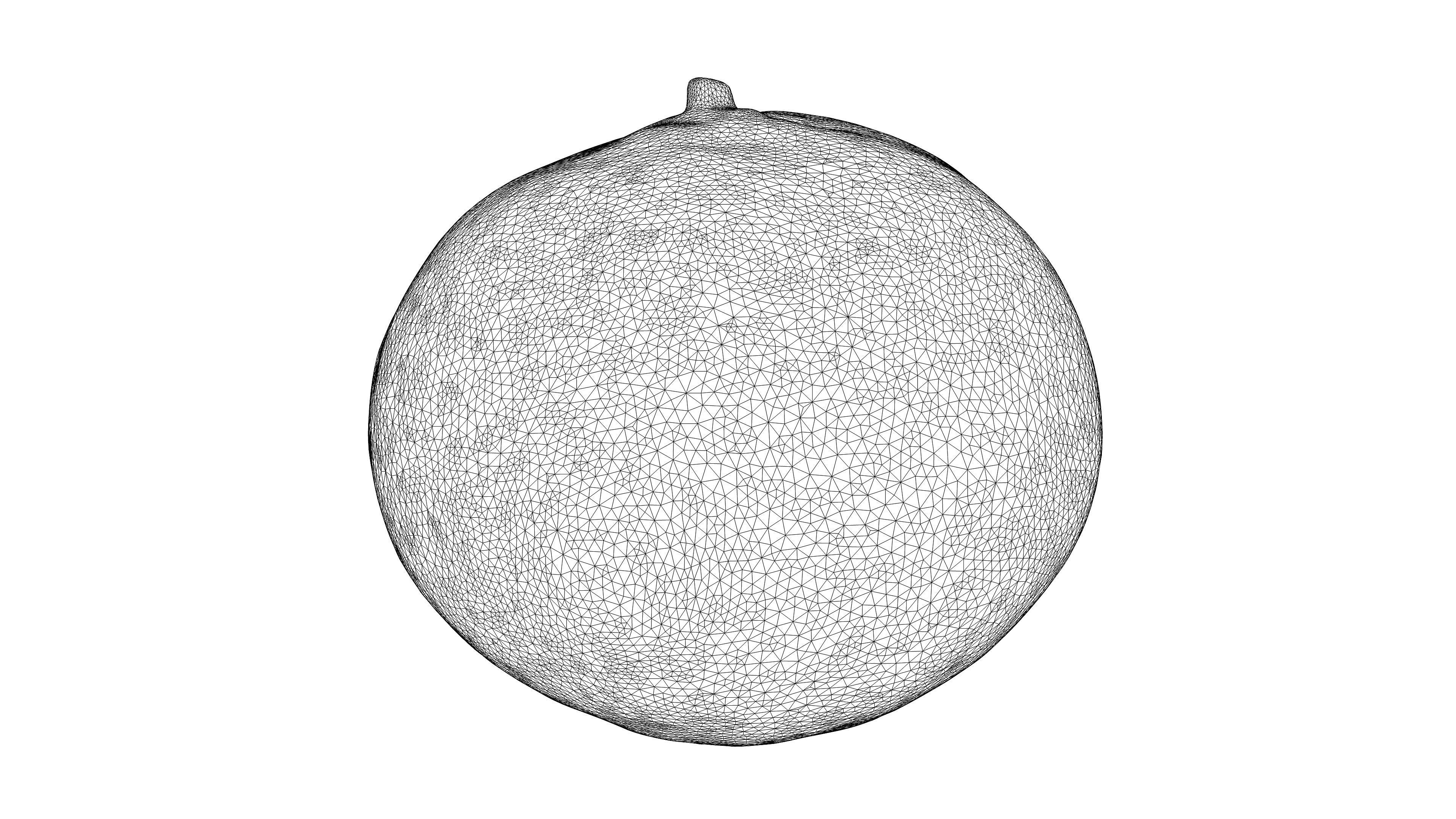 Photorealistic 3D scanning of different fruits 3D Model Collection_19