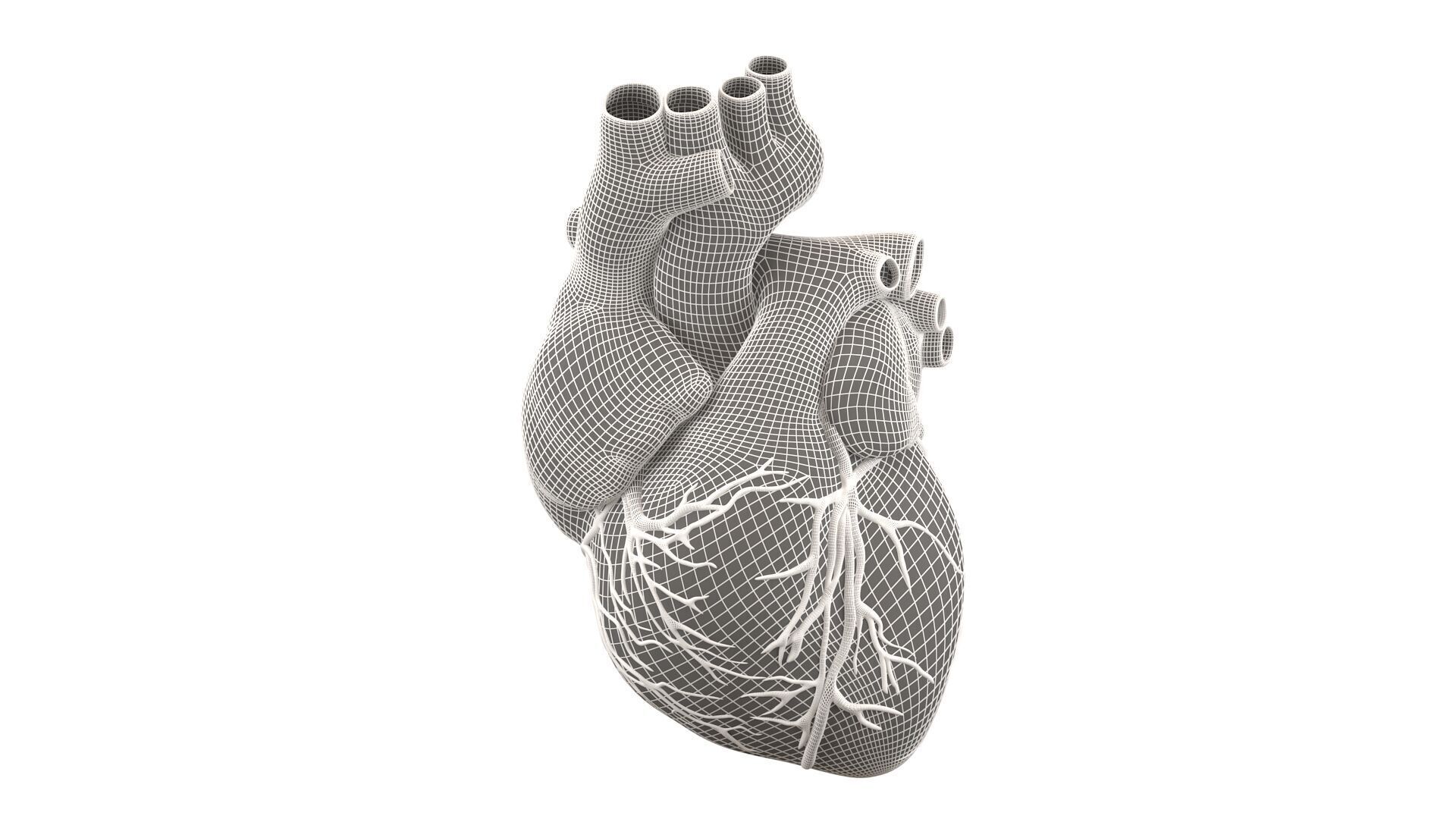 human heart pendent silver 3D model_8
