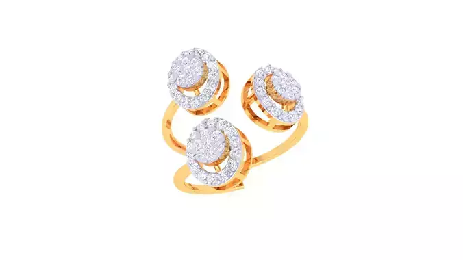 Women Ring  Render 3dm STL OBJ FBX Details