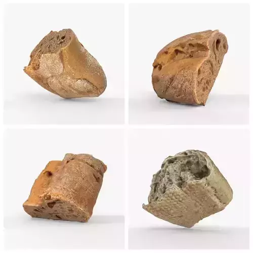 Photorealistic 3D scanning of different pieces of bread 3D Model Collection