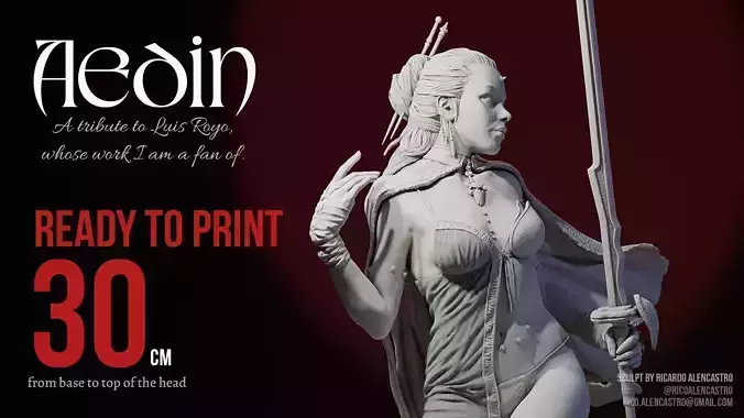 Aedin - Luis Royo tribute 3D print model