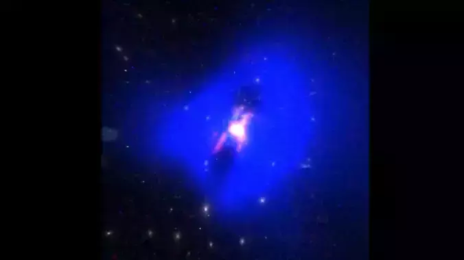 Phoenix Cluster 3D model