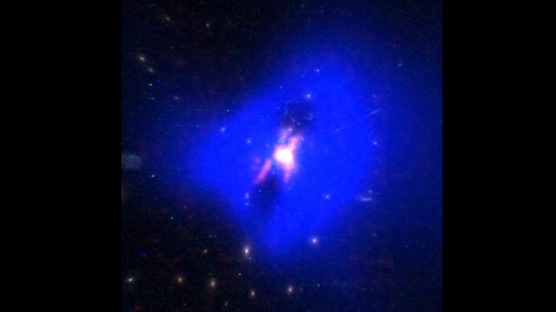 Phoenix Cluster 3D model_0