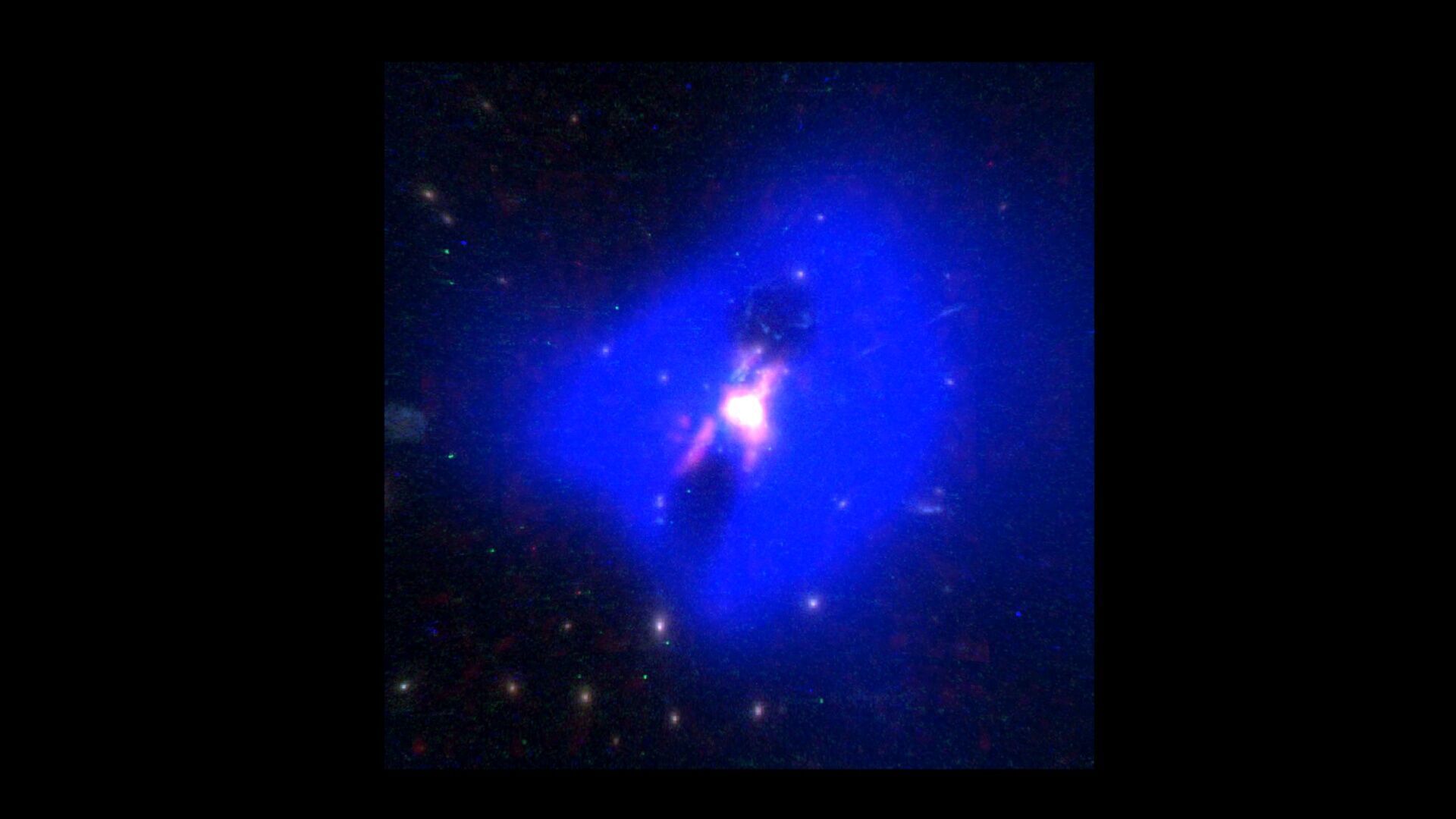 Phoenix Cluster 3D model_1