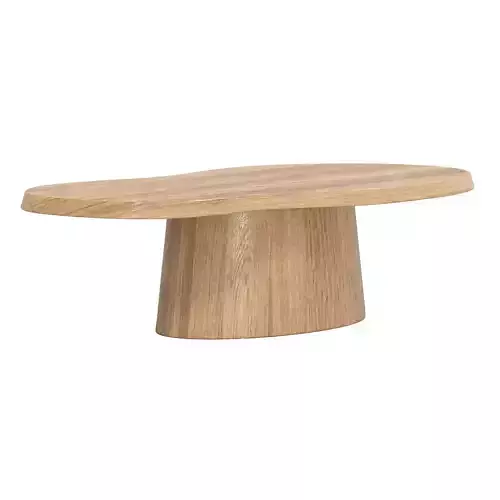 Elegant natural oak coffee table