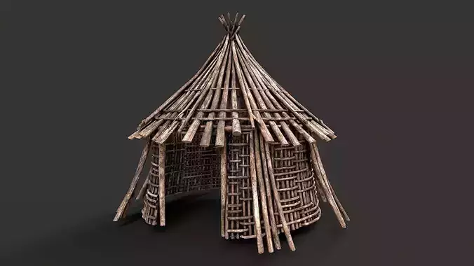 Primitive Wood Stick Jungle Shelter 3