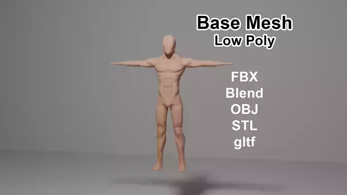 Human Male Base Mesh  Free low-poly 3D model