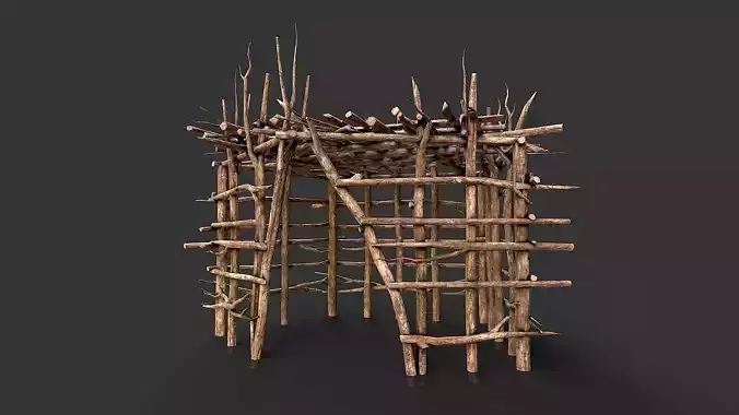Primitive Wood Stick Jungle Shelter 11