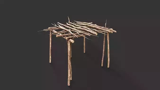 Primitive Wood Stick Jungle Shelter 12