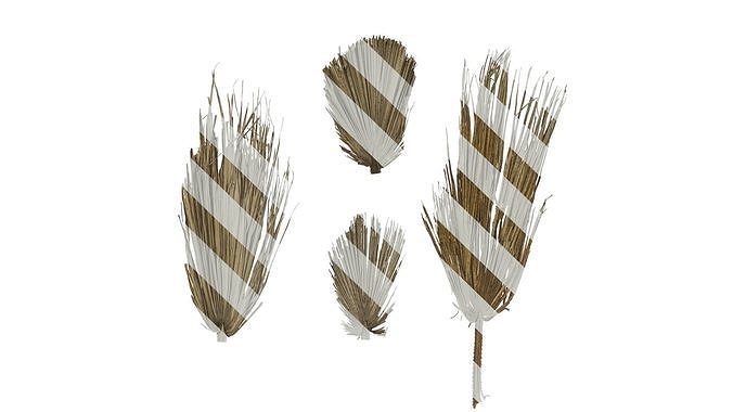 Anydrafts Livistona chinensis Leaf 09 Texture