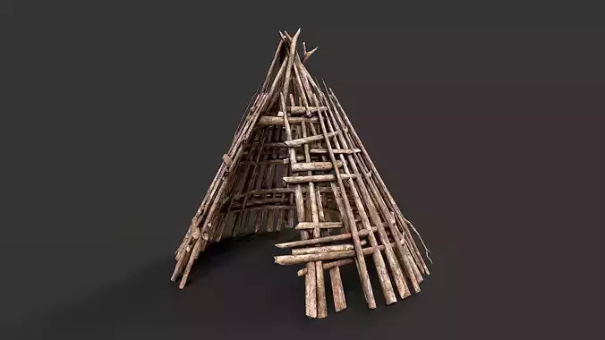 Primitive Wood Stick Jungle Shelter 17
