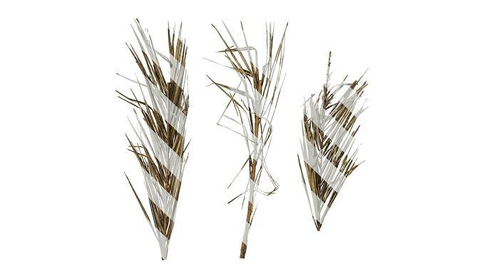 Anydrafts Phoenix canariensis Atlas 14 Texture