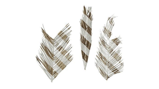 Anydrafts Phoenix canariensis Atlas 17 Texture