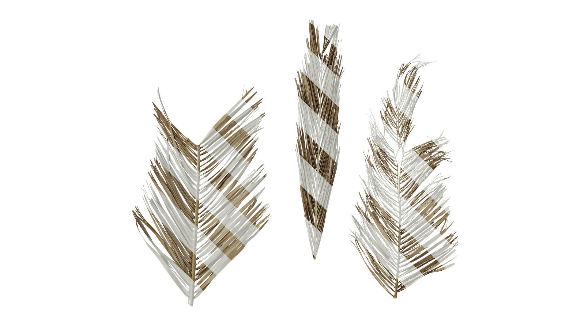Anydrafts Phoenix canariensis Atlas 17 Texture