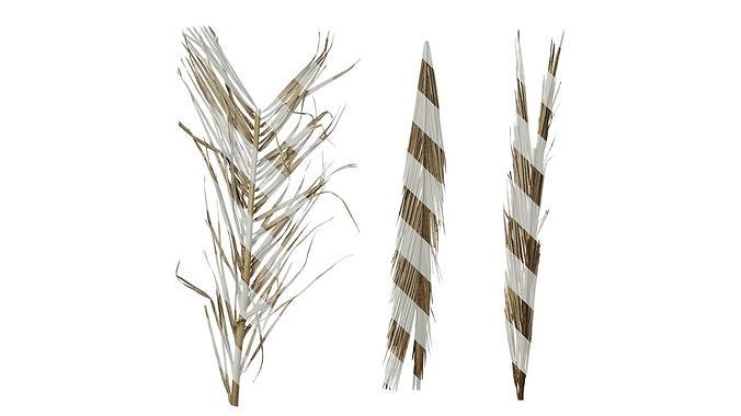 Anydrafts Phoenix canariensis Atlas 18 Texture
