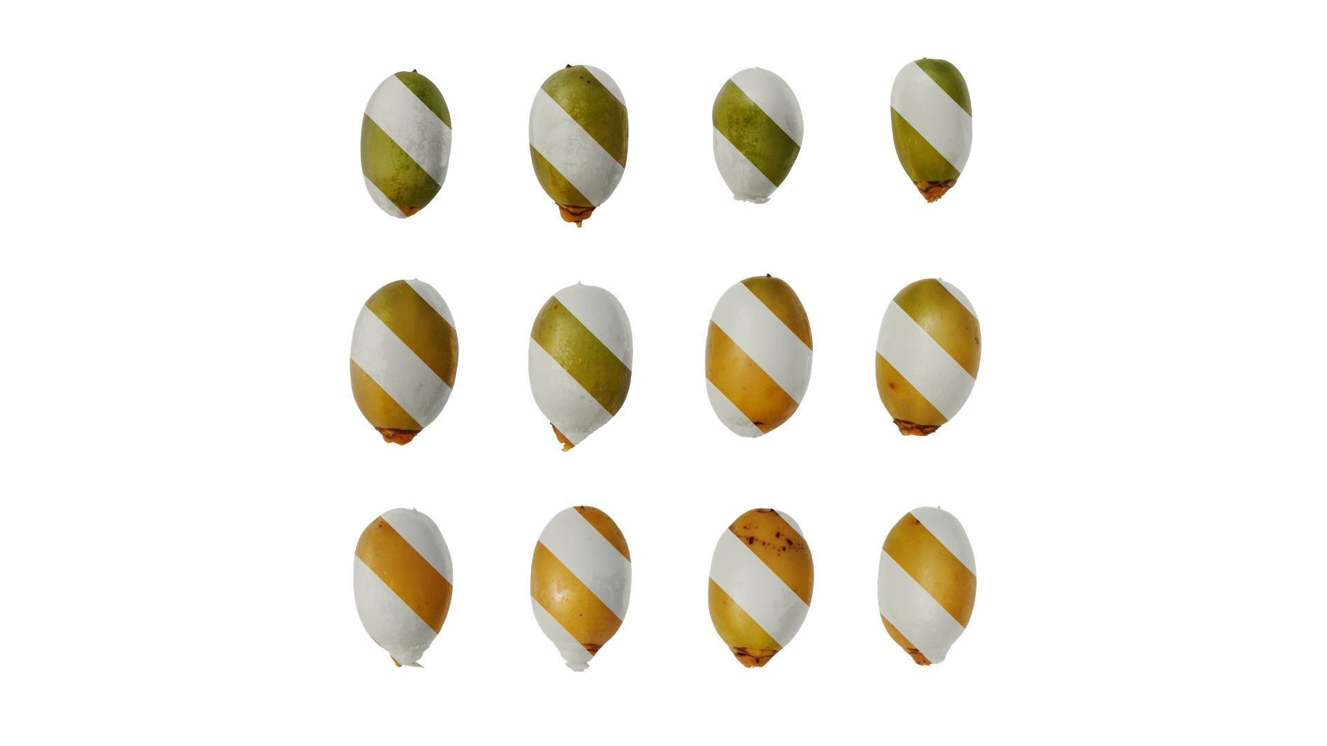 Anydrafts Phoenix canariensis Fruit 01 Texture