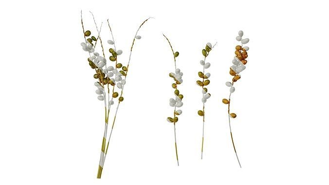 Anydrafts Phoenix canariensis Fruit 02 Texture