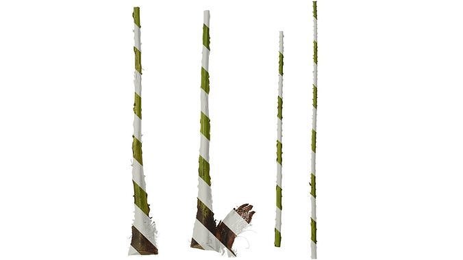 Anydrafts Phoenix canariensis Stem 01 Texture
