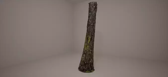 Bald Cypress Photoscan Processed and Source Included