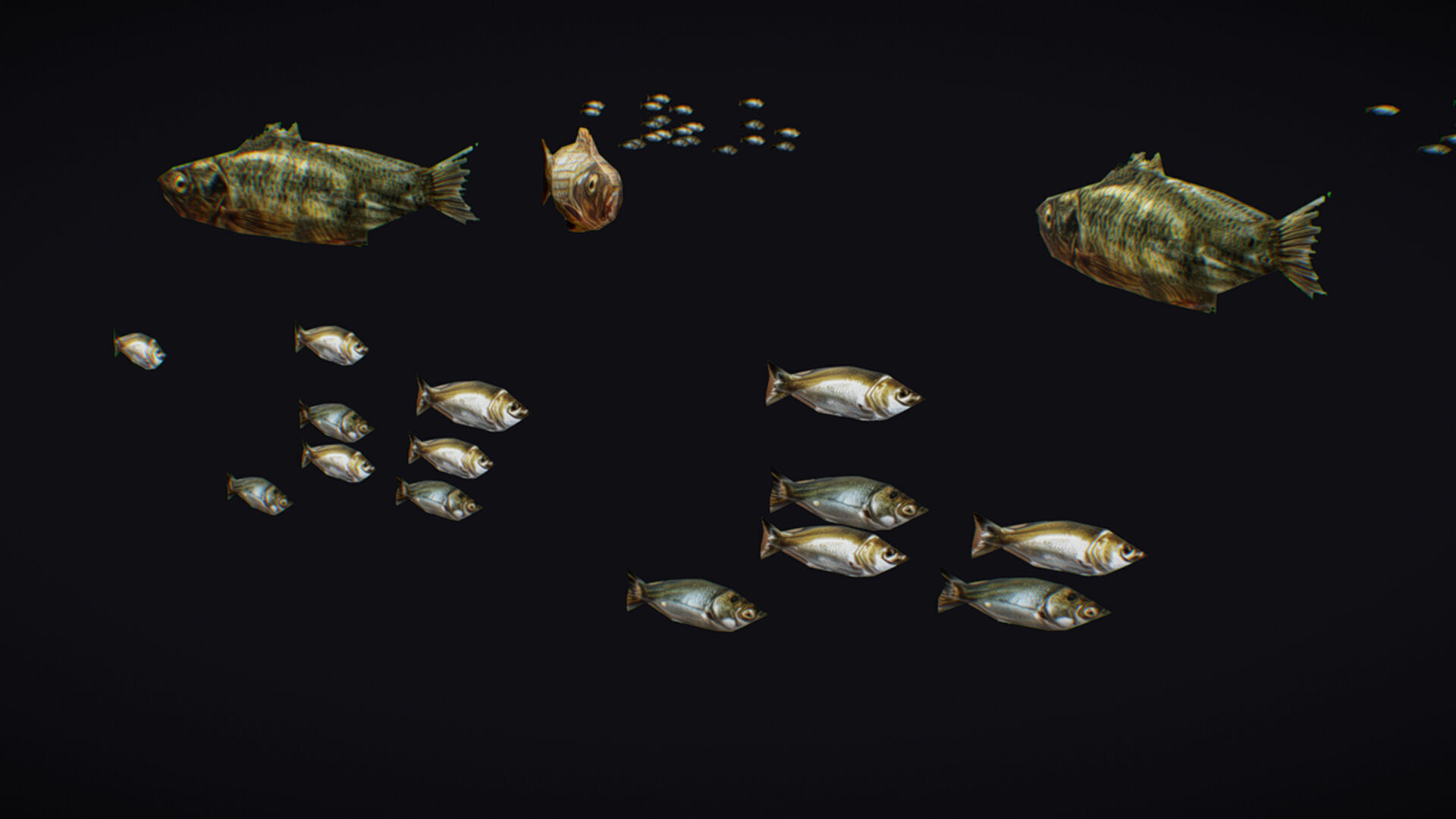 Fish Flock Fresh Water Fishes Animated Floating River Trout Low-poly 3D model_7