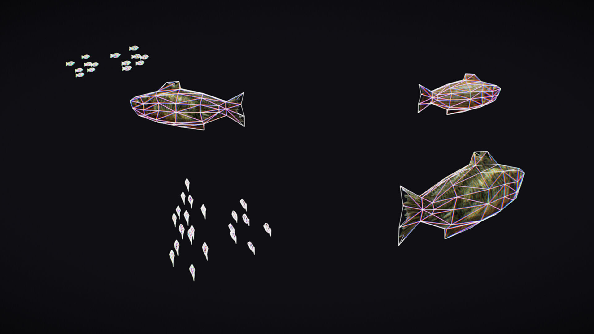 Fish Flock Fresh Water Fishes Animated Floating River Trout Low-poly 3D model_17