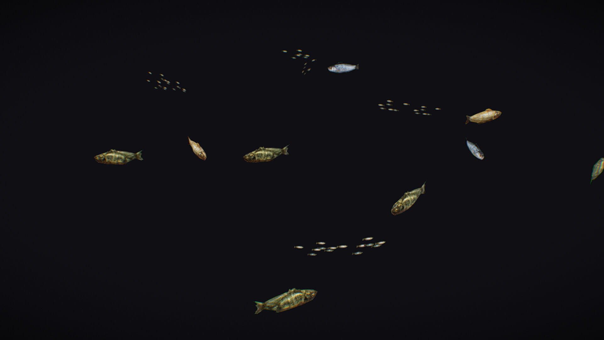 Fish Flock Fresh Water Fishes Animated Floating River Trout Low-poly 3D model_10