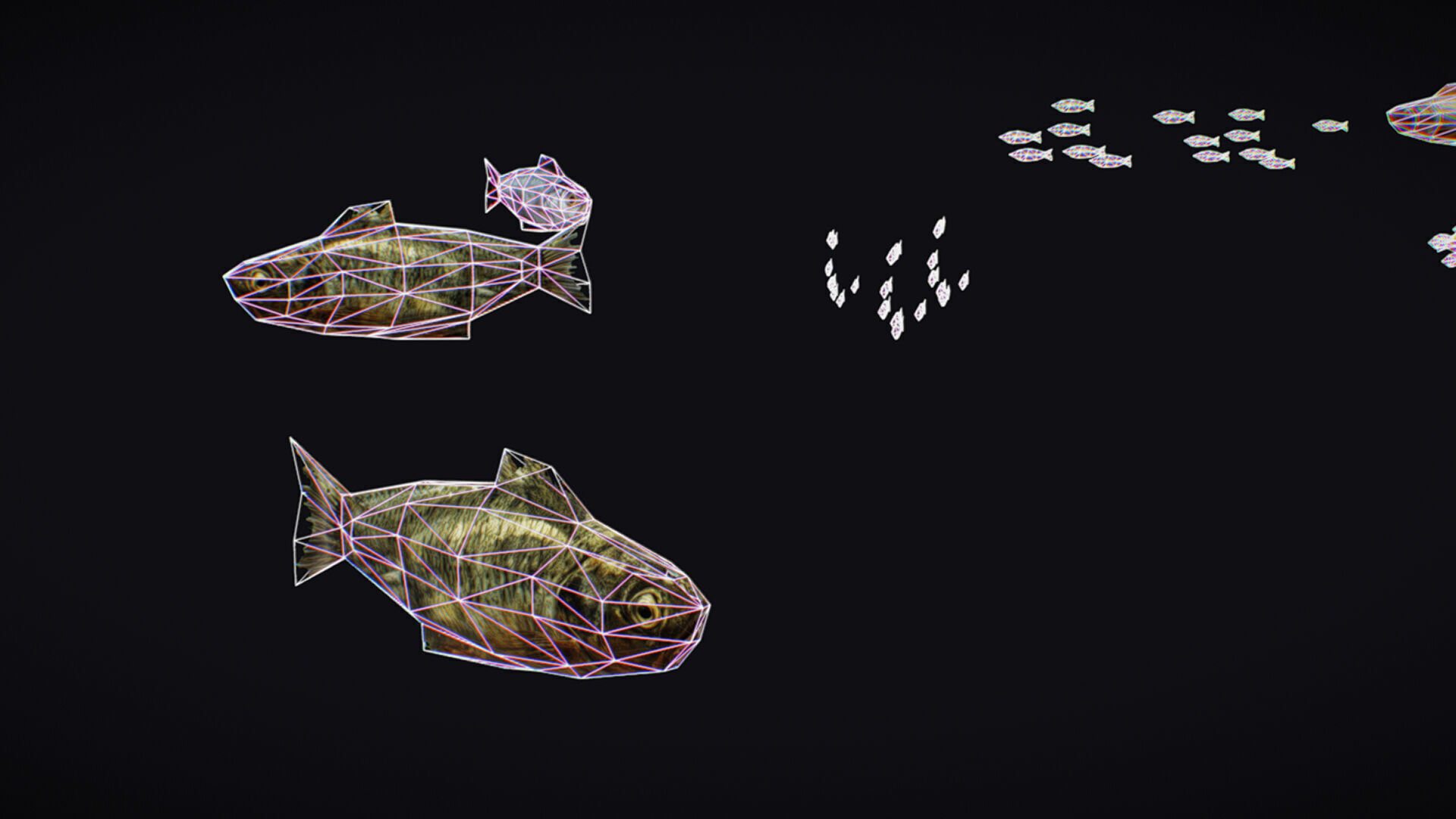 Fish Flock Fresh Water Fishes Animated Floating River Trout Low-poly 3D model_14