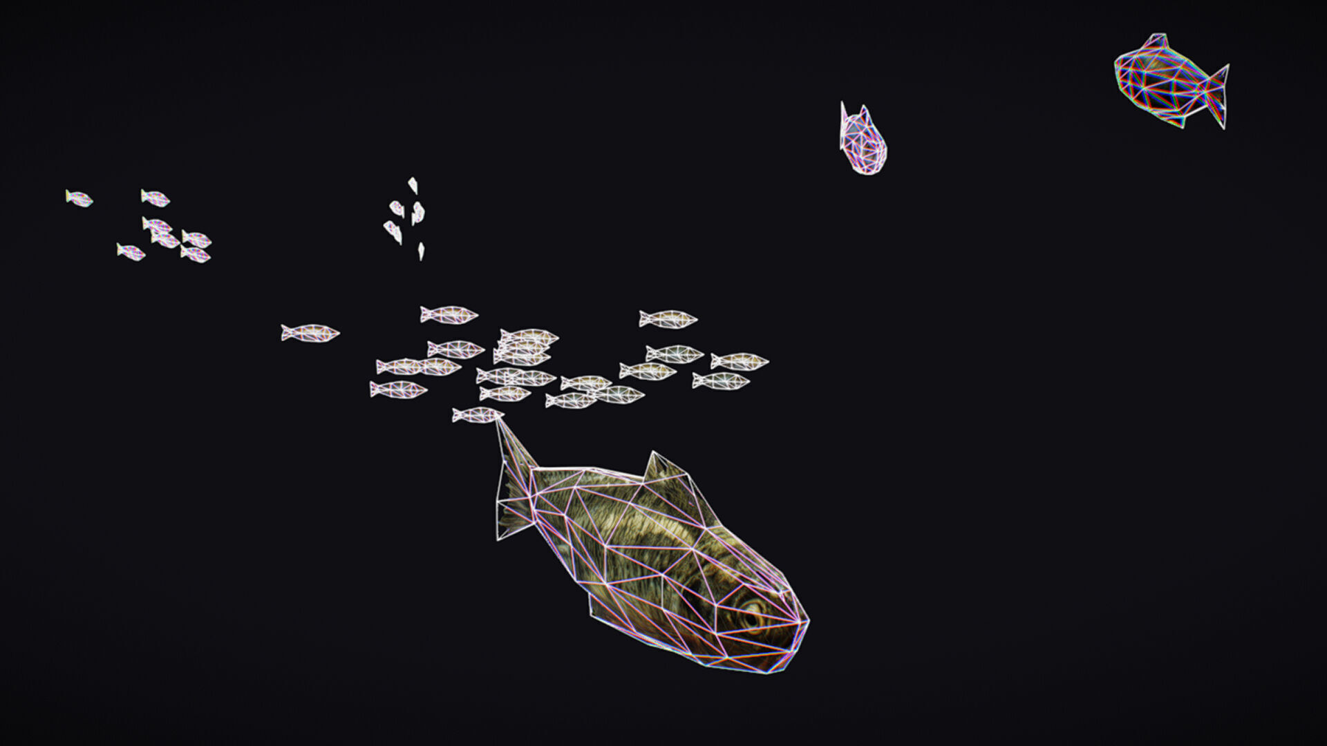Fish Flock Fresh Water Fishes Animated Floating River Trout Low-poly 3D model_16