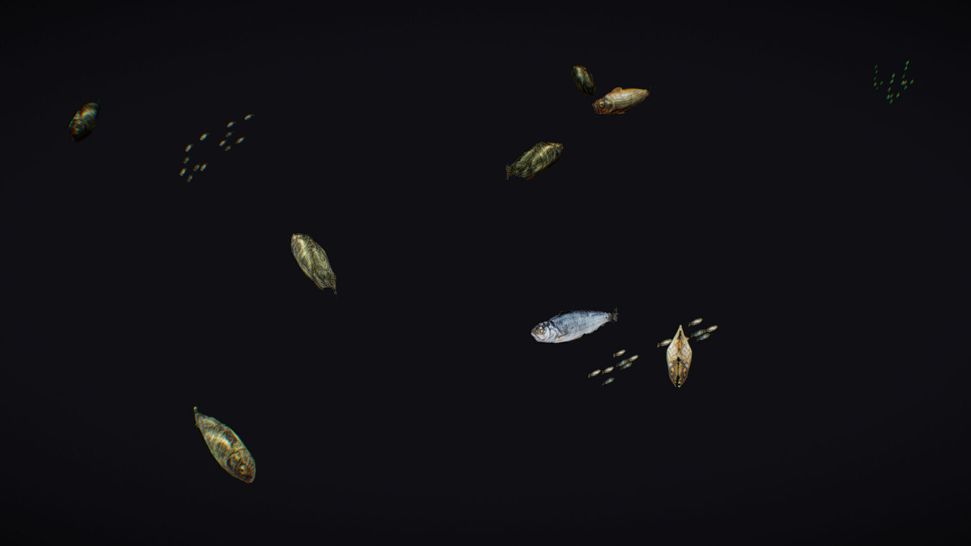 Fish Flock Fresh Water Fishes Animated Floating River Trout Low-poly 3D model_2