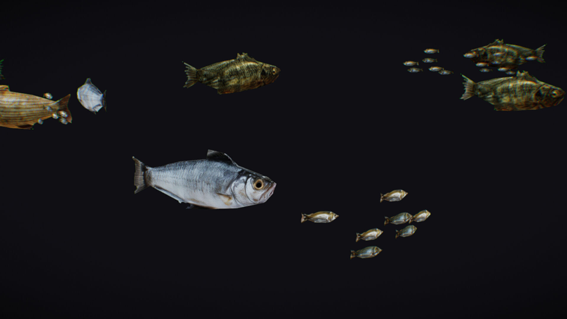 Fish Flock Fresh Water Fishes Animated Floating River Trout Low-poly 3D model_6