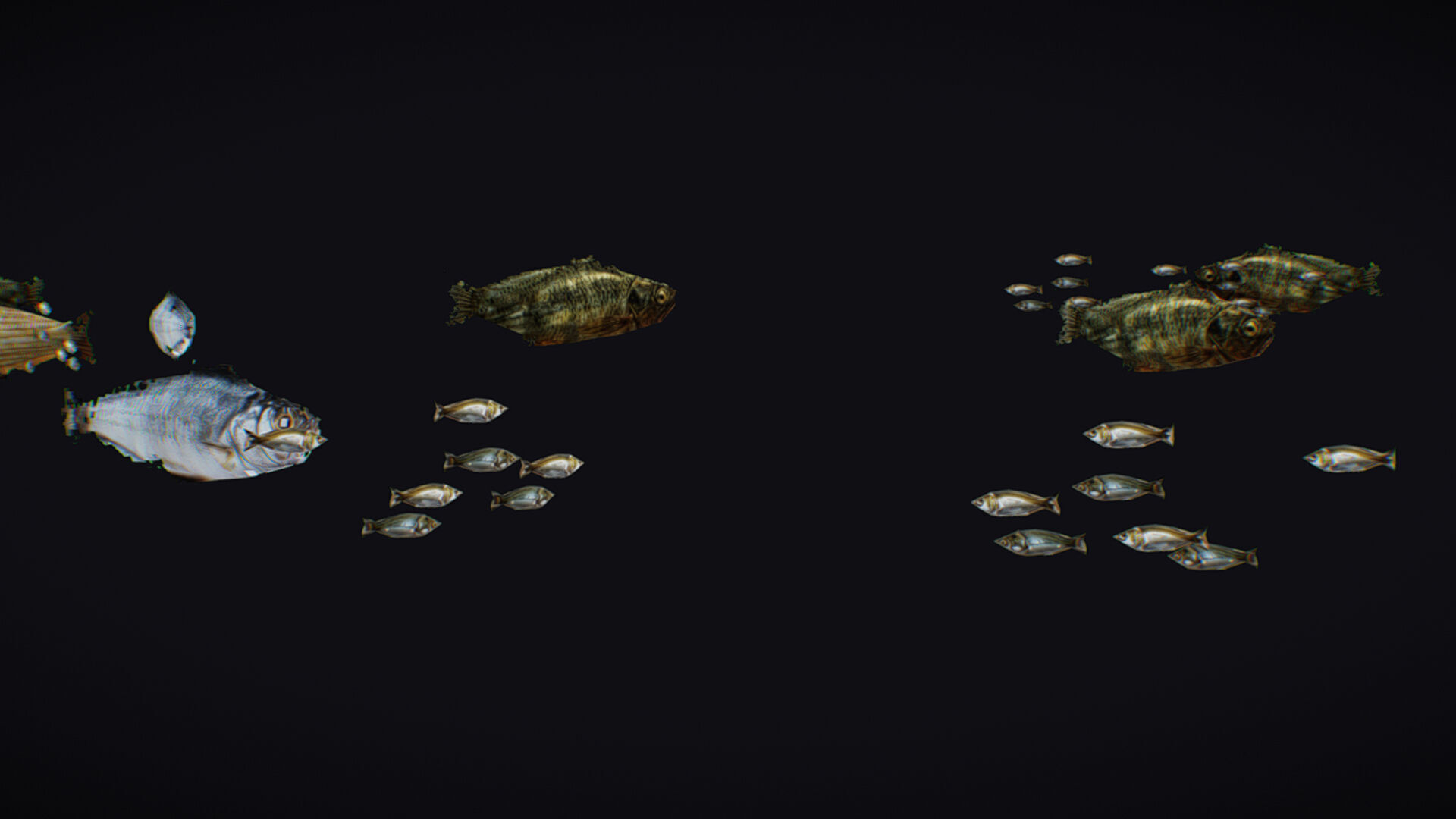 Fish Flock Fresh Water Fishes Animated Floating River Trout Low-poly 3D model_4