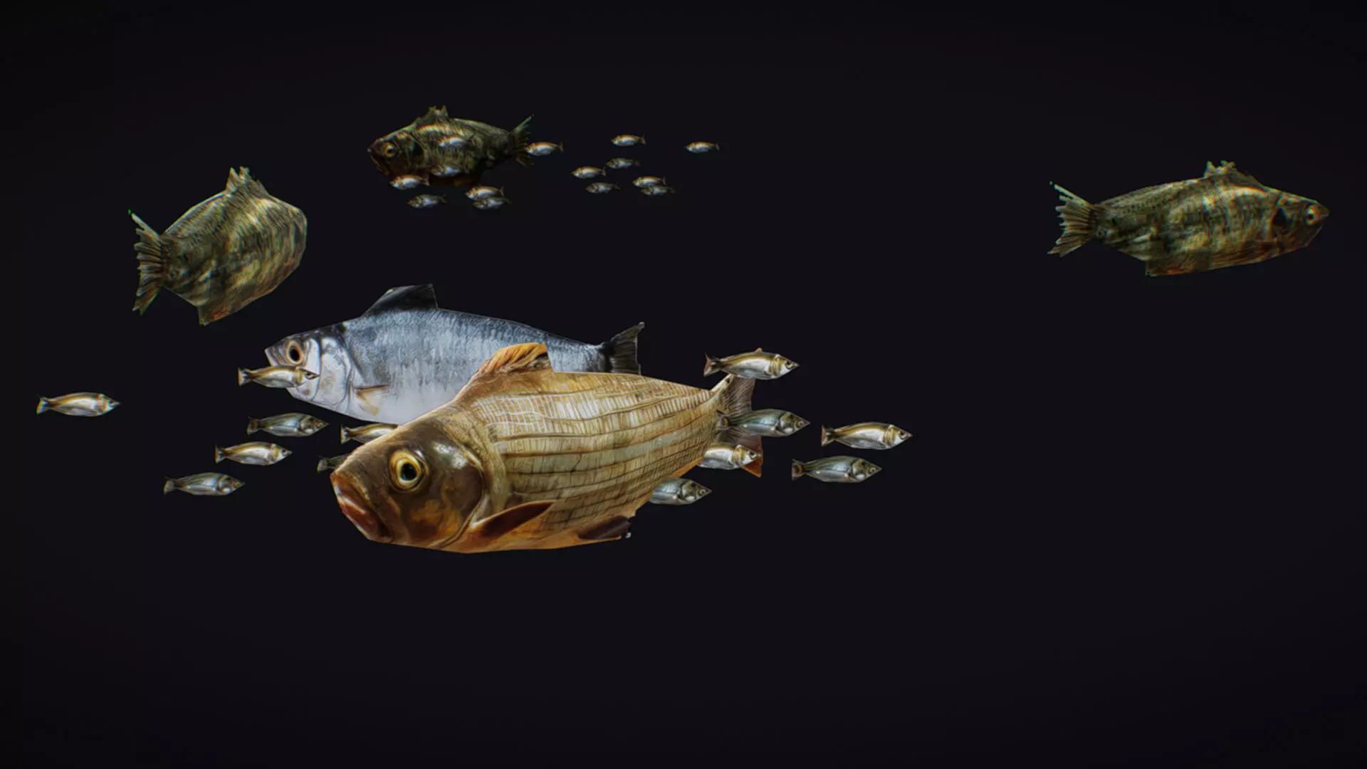 Fish Flock Fresh Water Fishes Animated Floating River Trout Low-poly 3D model_0