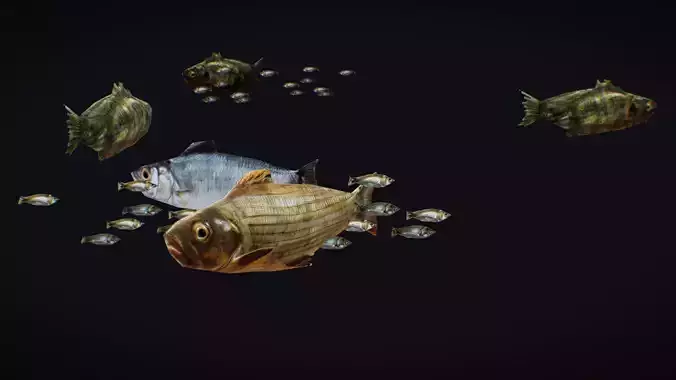Fish Flock Fresh Water Fishes Animated Floating River Trout Low-poly 3D model