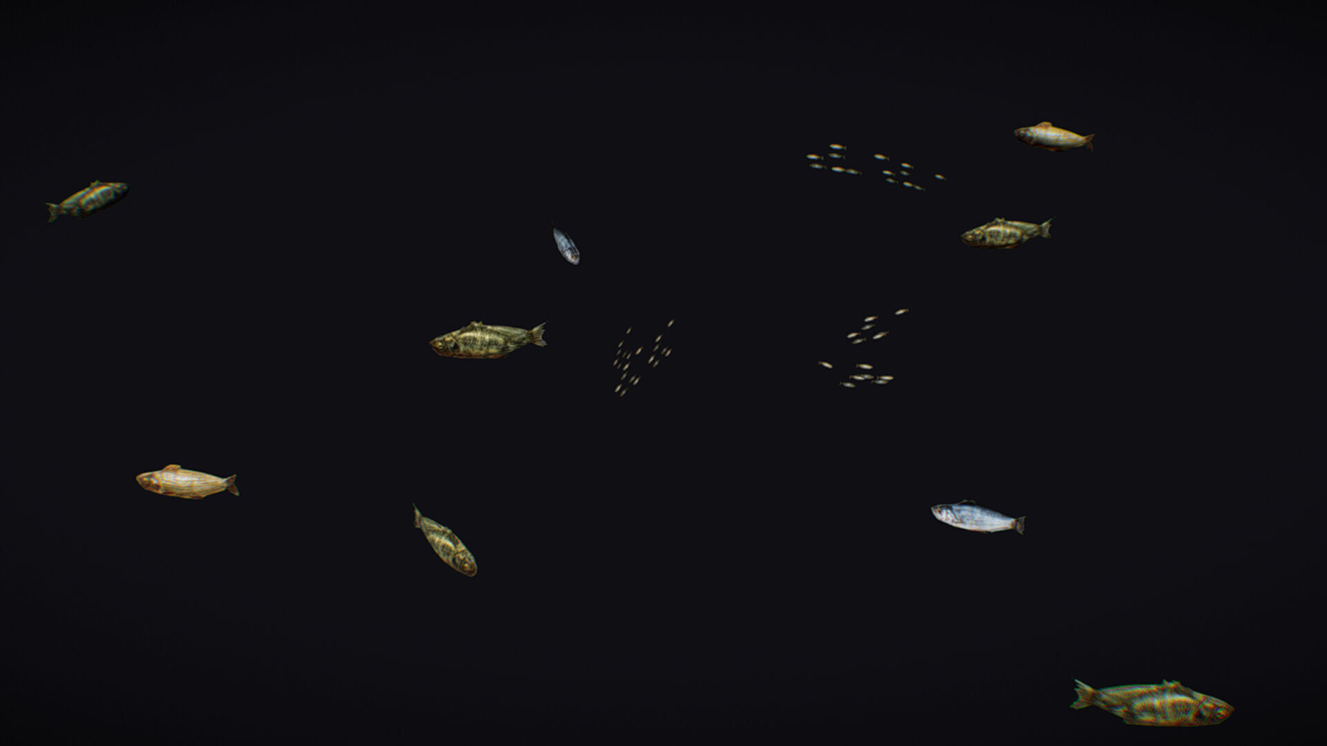 Fish Flock Fresh Water Fishes Animated Floating River Trout Low-poly 3D model_11