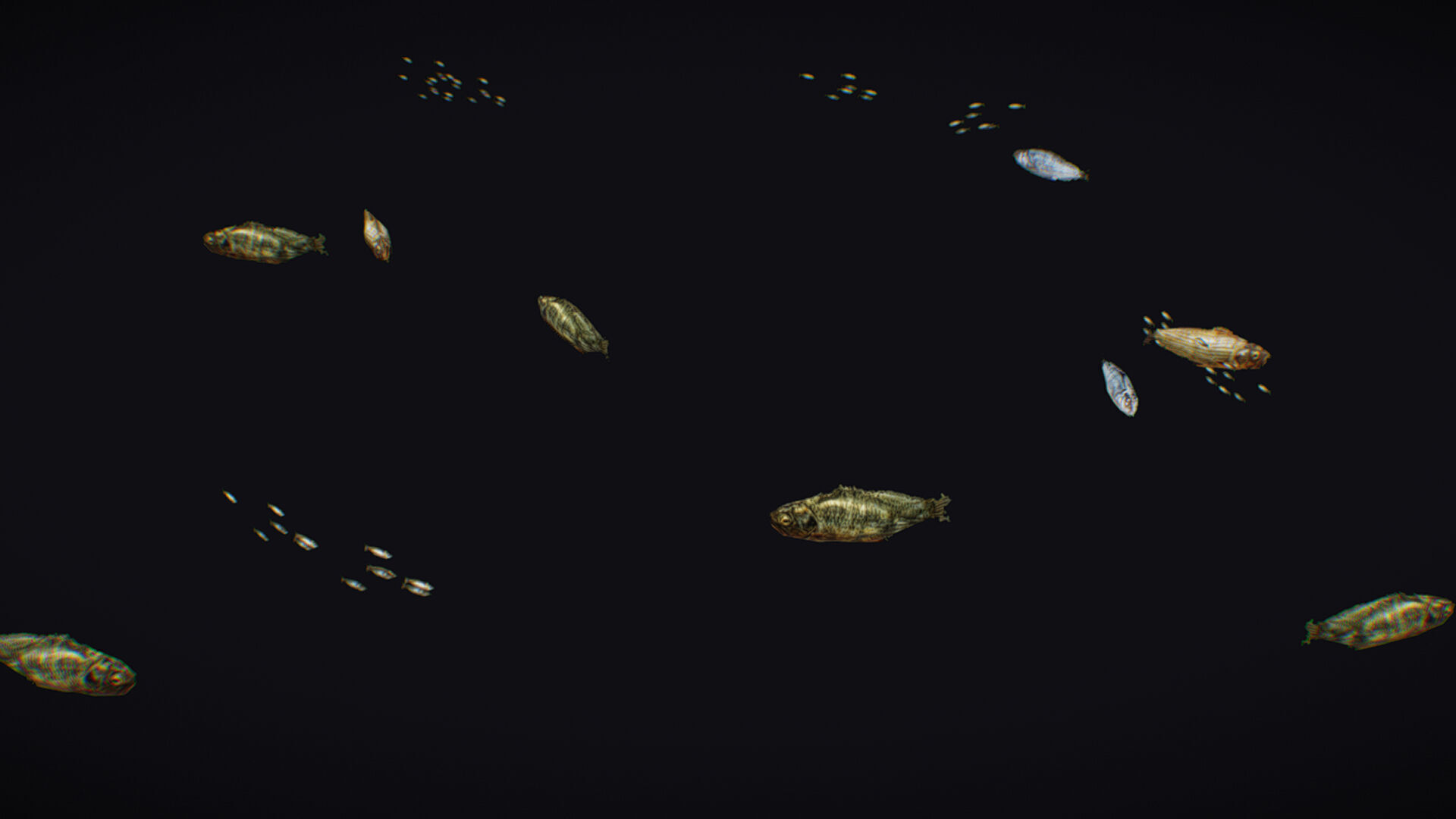 Fish Flock Fresh Water Fishes Animated Floating River Trout Low-poly 3D model_1