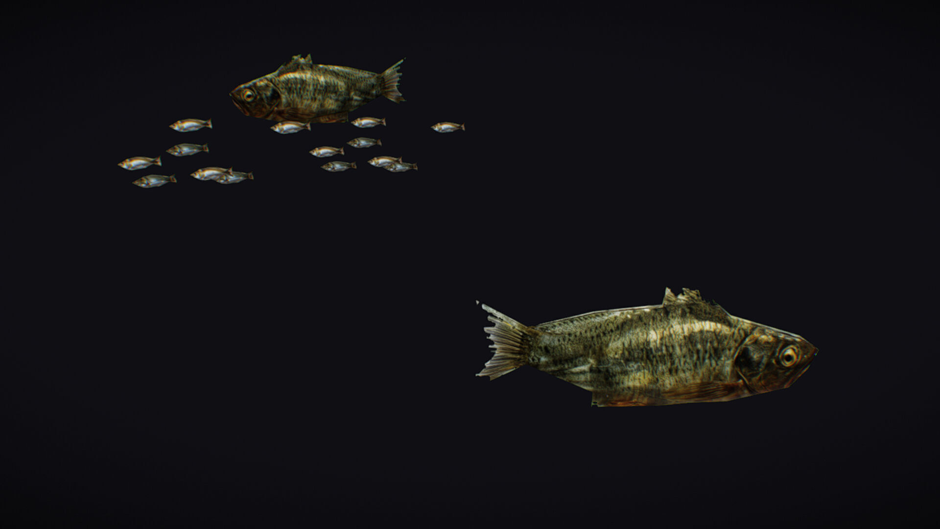 Fish Flock Fresh Water Fishes Animated Floating River Trout Low-poly 3D model_5