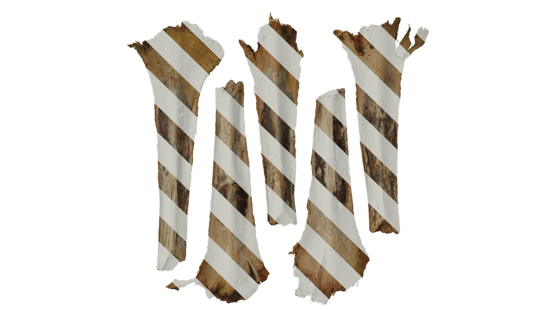 Anydrafts Phoenix sylvestris Petiole 01 Texture