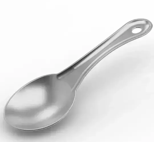 Premium Serving Spoon