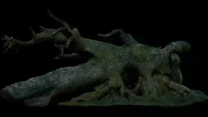 Mossy Tree Stump Falls V3