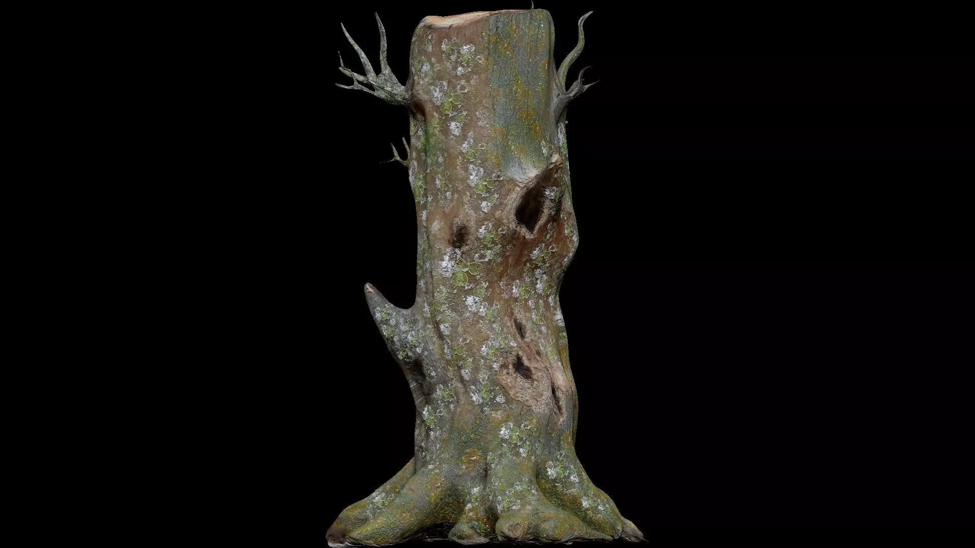 Dead Moss Tree Stump V2 Low-poly 3D model_0